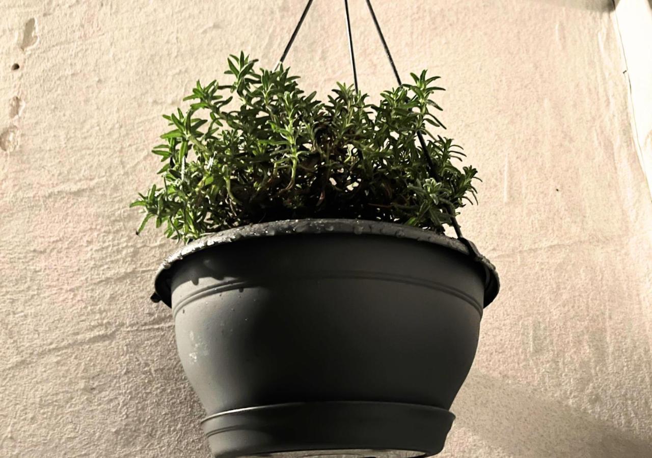 Le Charme D'Antan - Terrasse - Balcon - Hypercentre Evreux Daire Dış mekan fotoğraf